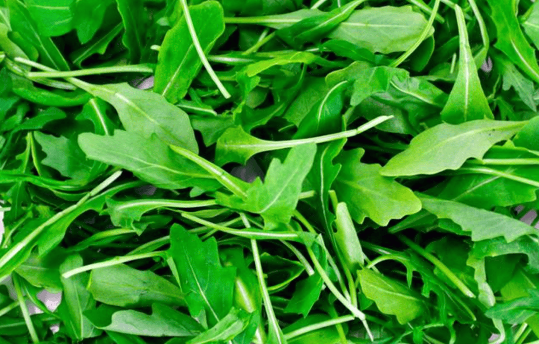 抢鲜上市原来春天的味道就藏在