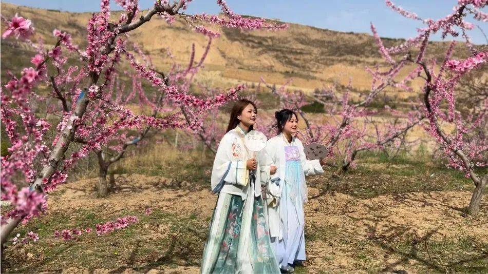 天水麻辣烫麦积邀您来春风拂面桃花开桃花笑迎八方客