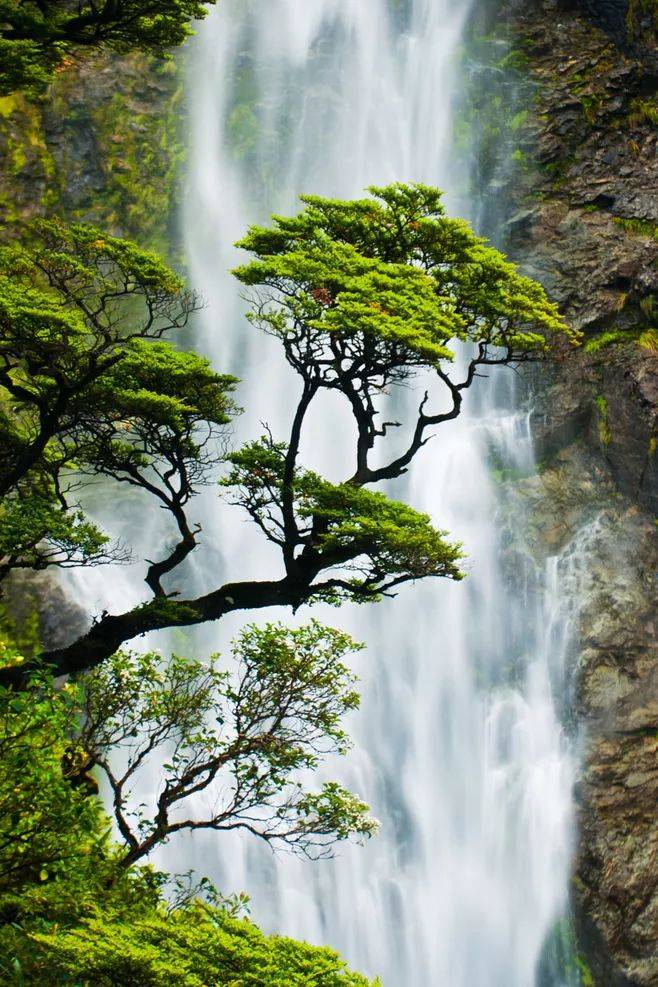 心大福大心宽人安