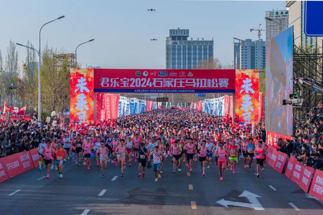 关于君乐宝2024石马听听他们怎么说