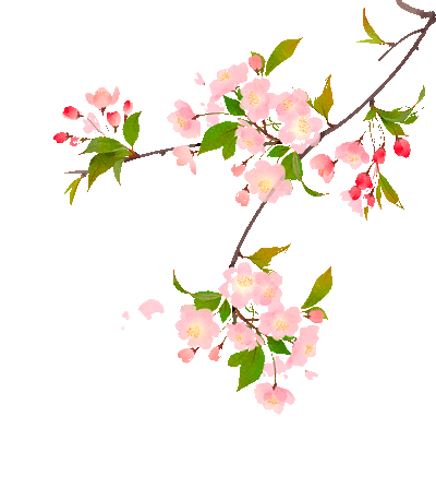 明媚的春天和诗词歌赋更搭哟