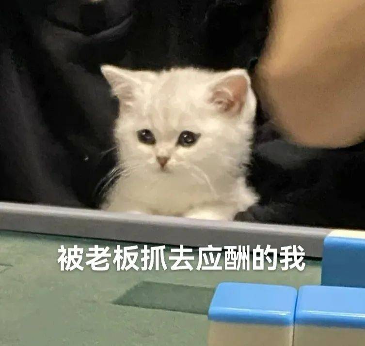 搞笑有病的聊天表情包