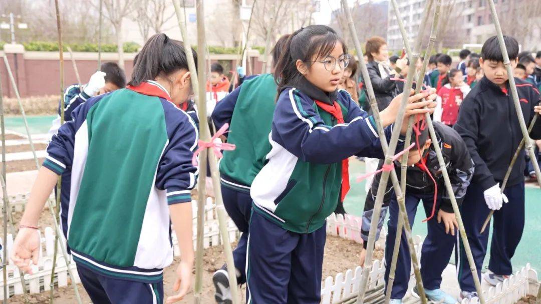搭黄瓜架包饺子钉纽扣西青萌娃变身劳动技能小能手