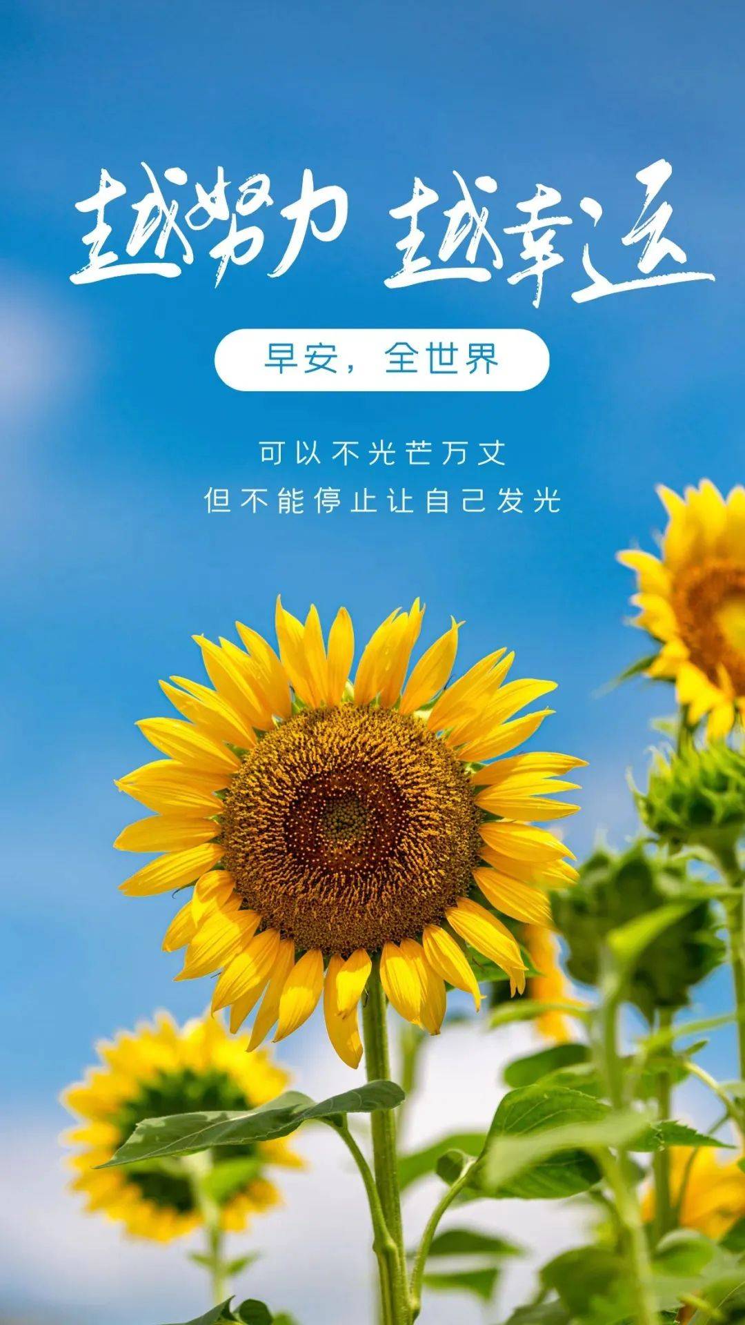 4月6日早安正能量努力语录句子:你若不相信努力和时光,时光就会第一个