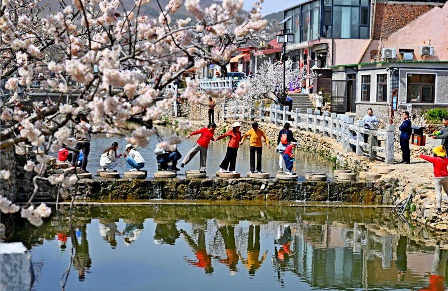 黄岛区铁山街道杨家山里乡村振兴示范片区花开争艳乡村红火