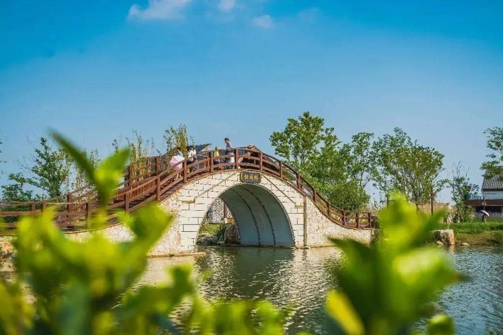 春日的江宁,连央视都忍不住"夸夸夸"!_水乡_佘村_钱家渡