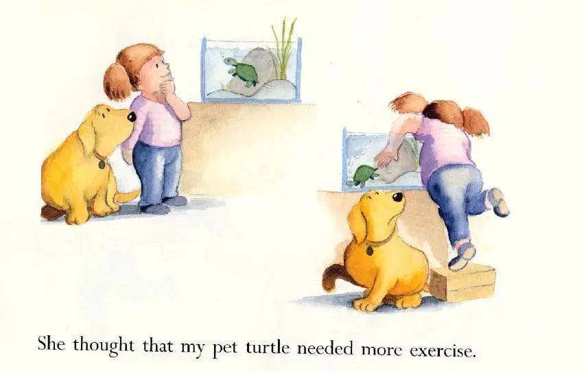 国际理解教育小海豚英文电台第97期letsbefriendsagain