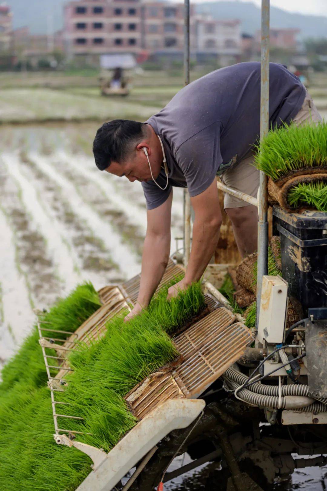 绘好春耕图孕育丰收景八步区春耕春种一线见闻