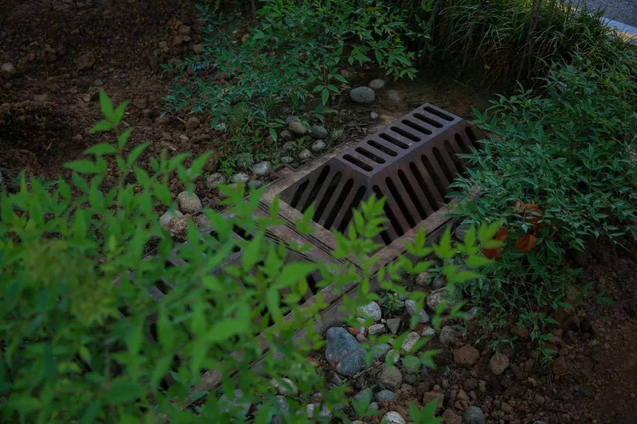 沣西新城海绵城市让雨水不再是余水