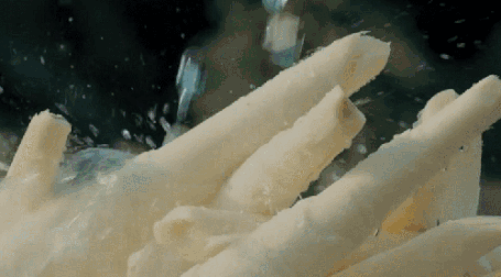 春天不吃笋吃你吗