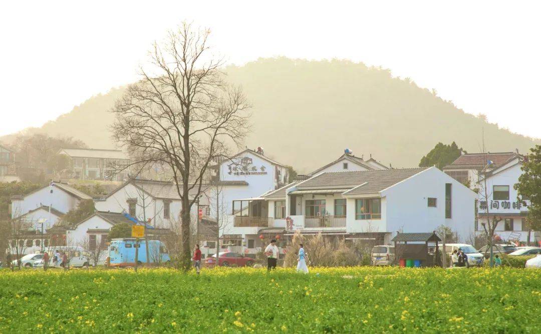 春日的江宁,连央视都忍不住"夸夸夸"!_水乡_佘村_钱家渡