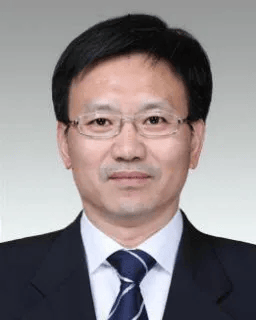 女性占比多少70后占比多少一文速览上海16区党政一把手简历