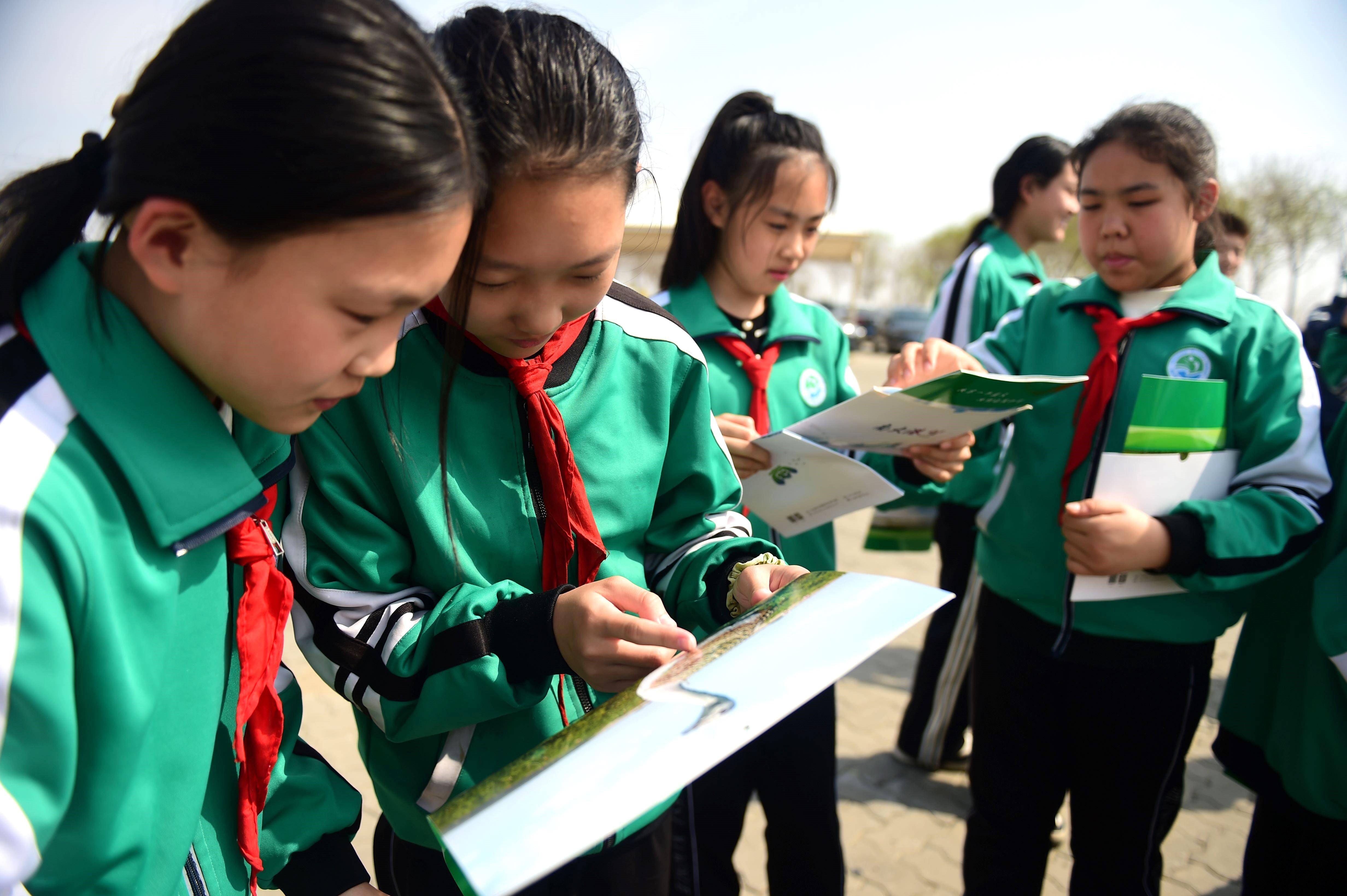 沧州市第三中学校徽图片