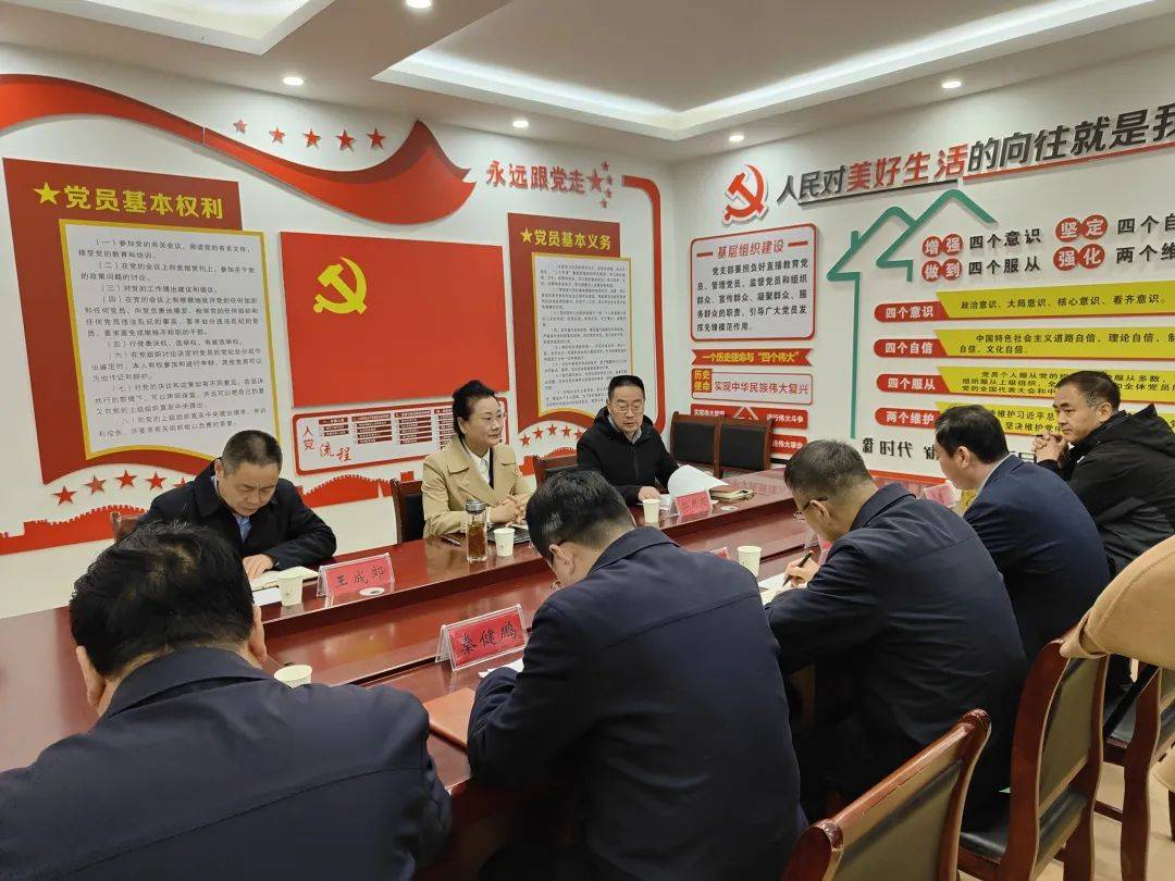 洹畔强基安阳市人大常委会主任徐家平到汤阴县调研软弱涣散村党组织