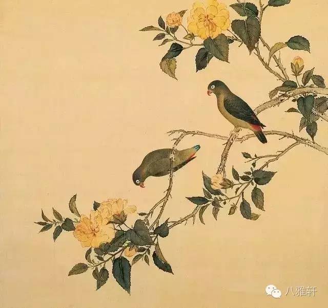 八雅轩丨艺术经典精美绝伦的清宫鸟谱图藏品