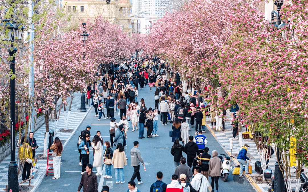 京津冀出行感受如何?来看记者调查→_受访者_北京_天津