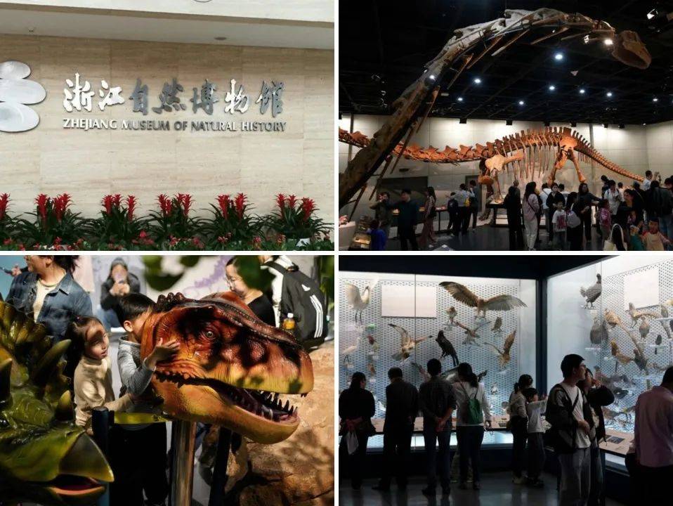 杭州绍兴四日研学漫步西湖悠游宋城拜谒名家故里探索科技馆与博物馆