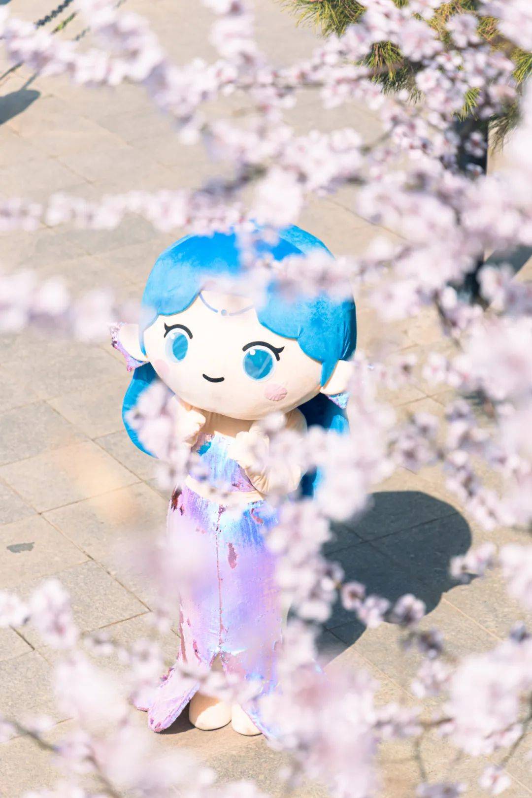 跟着鲅鱼公主打卡新晋网红点