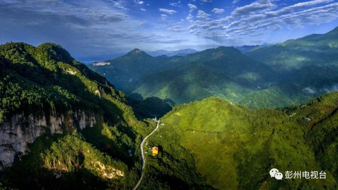 第二届蓉城红领巾小史官微课②大熊猫黑白相间的外表有什么作用