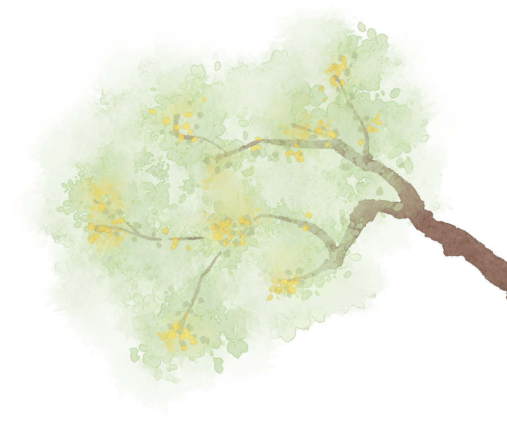 36天时间74岁法国教授要创造一个奇迹