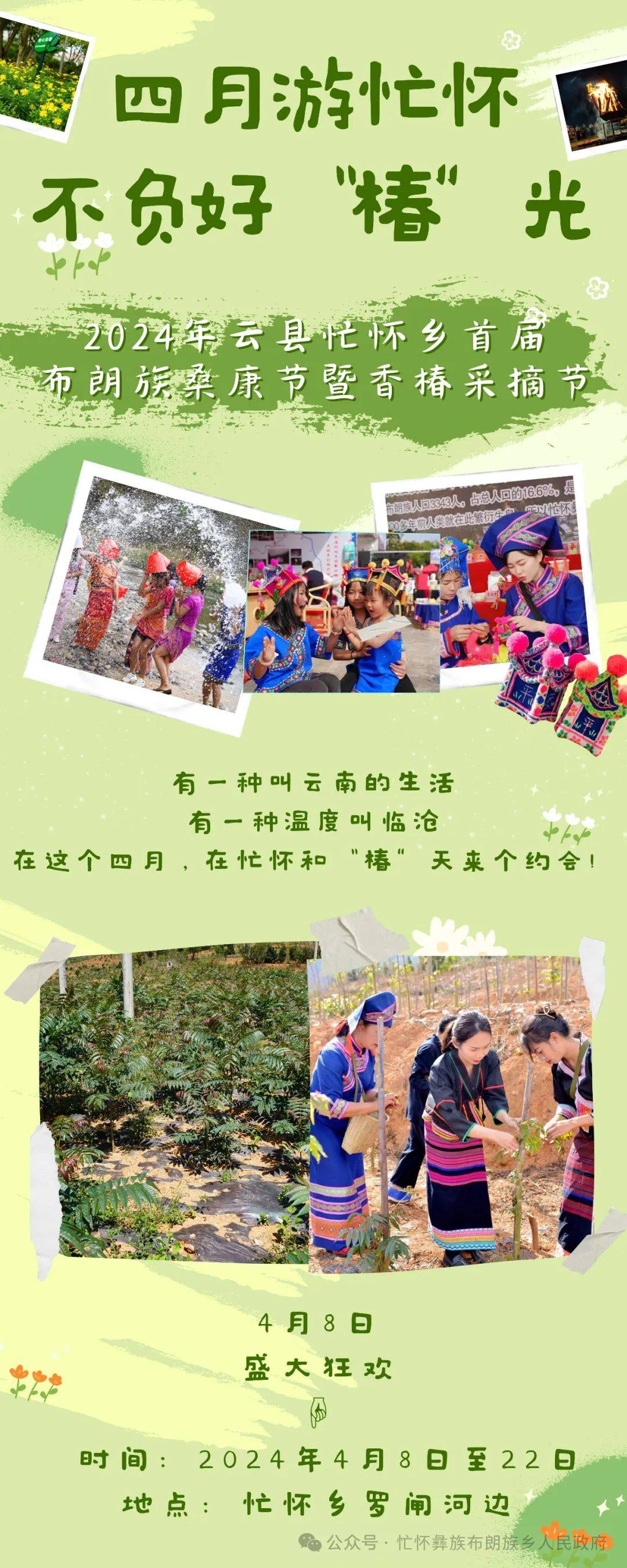 布朗族桑康节暨香椿采摘节来啦!云县忙怀乡首届