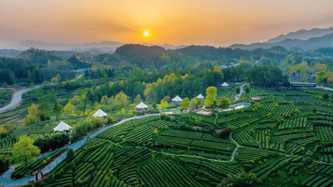 全国春季"村晚",在宁强开启→_活动_旅游_茶文化