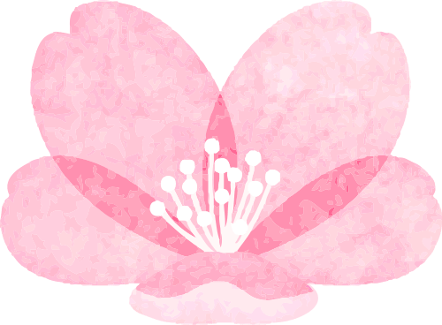 最新消息来厦门的多了10种