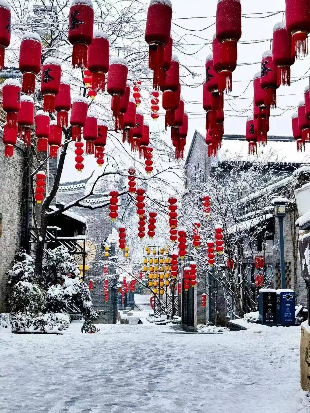 大雪纷飞迎新年图片