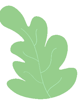 绘本故事如同一粒小种子洒在心田开出绚烂的花朵让我们跟随老师的声音