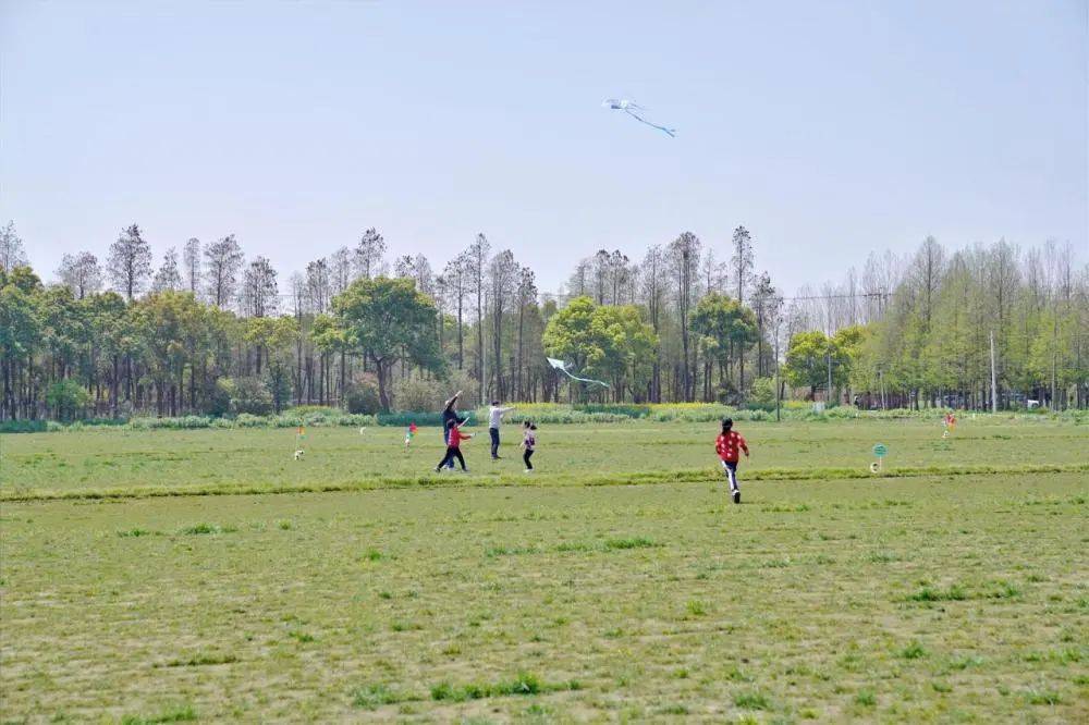 开幕!2024廊下田野百花节重磅来袭,邀您收集郊野春天的浪漫!_线路_公