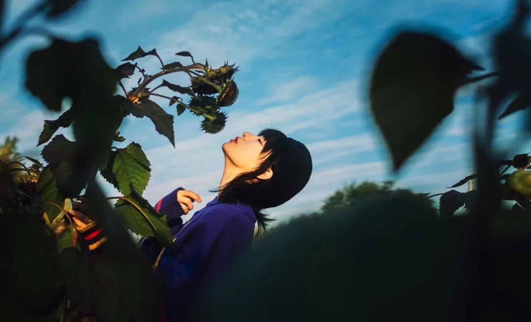 "花开则谢,月满必缺,十全十美之后,紧接着的是凋零与缺憾.
