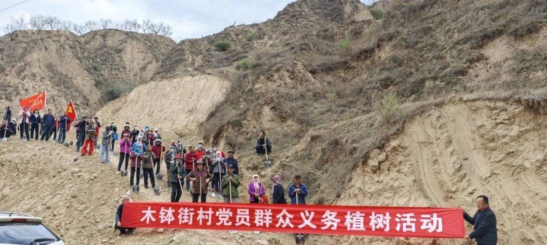 木钵镇各村积极开展义务植树活动