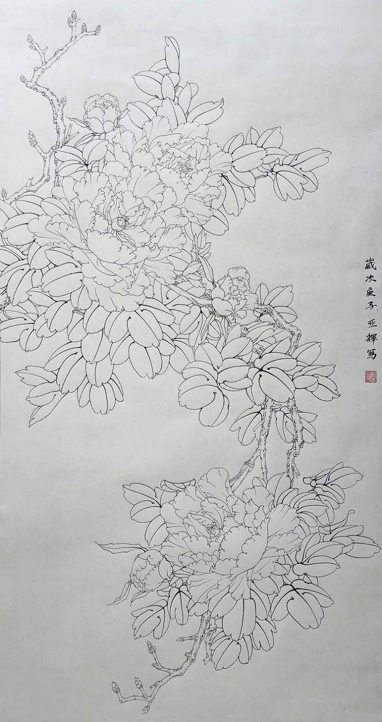 中国国花素描图片