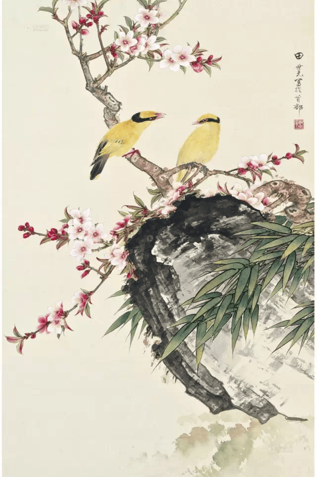 春分时光,赏最美花鸟图!_田世光_高清_工笔