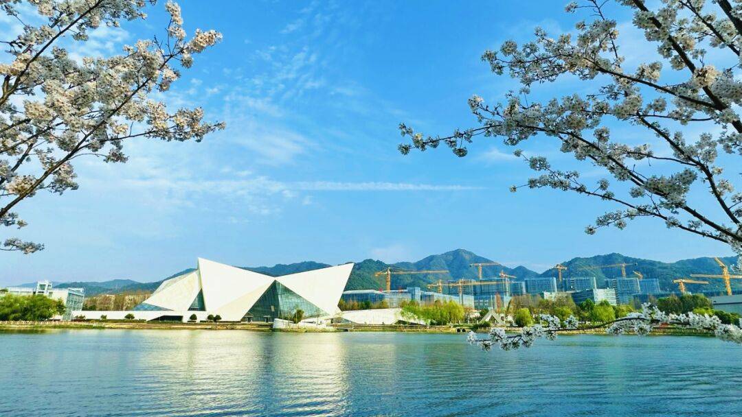 浙江科技大学2024年 "三位一体"综合评价招生综合素质测试考生须知_考