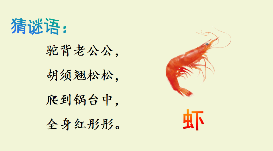 【课件】三年级语文下册 课文15《小虾》