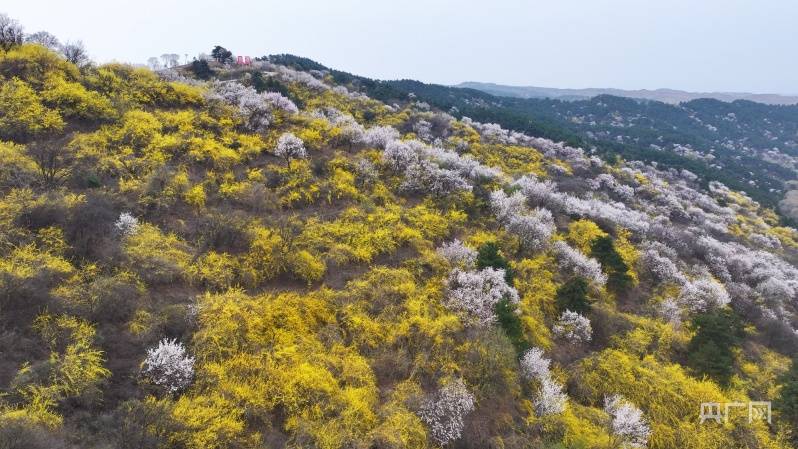 安泽黄花岭风景区图片