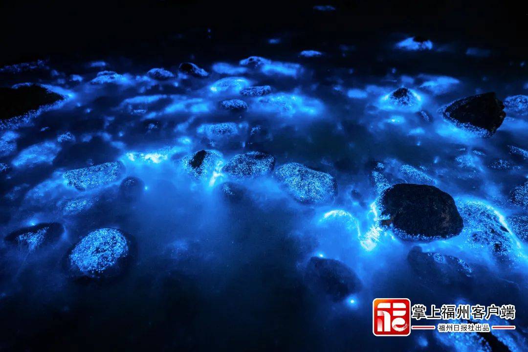 封神平潭全海域蓝眼泪大爆发朋友圈都炸锅了真的太惊艳