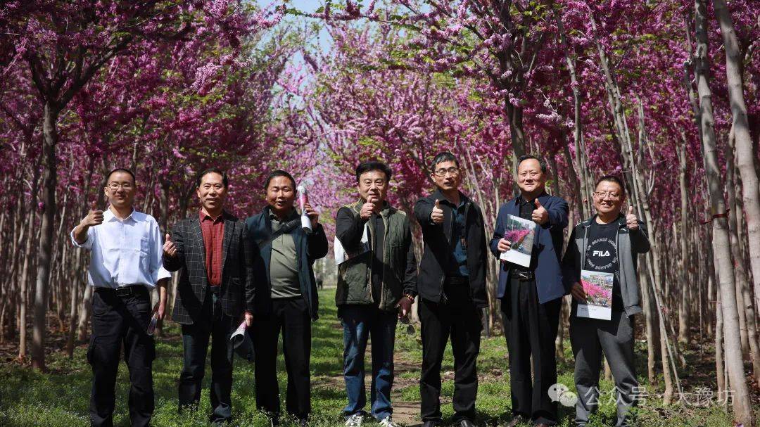 67淮阳区诗词学会紫荆花诗会作品选粹