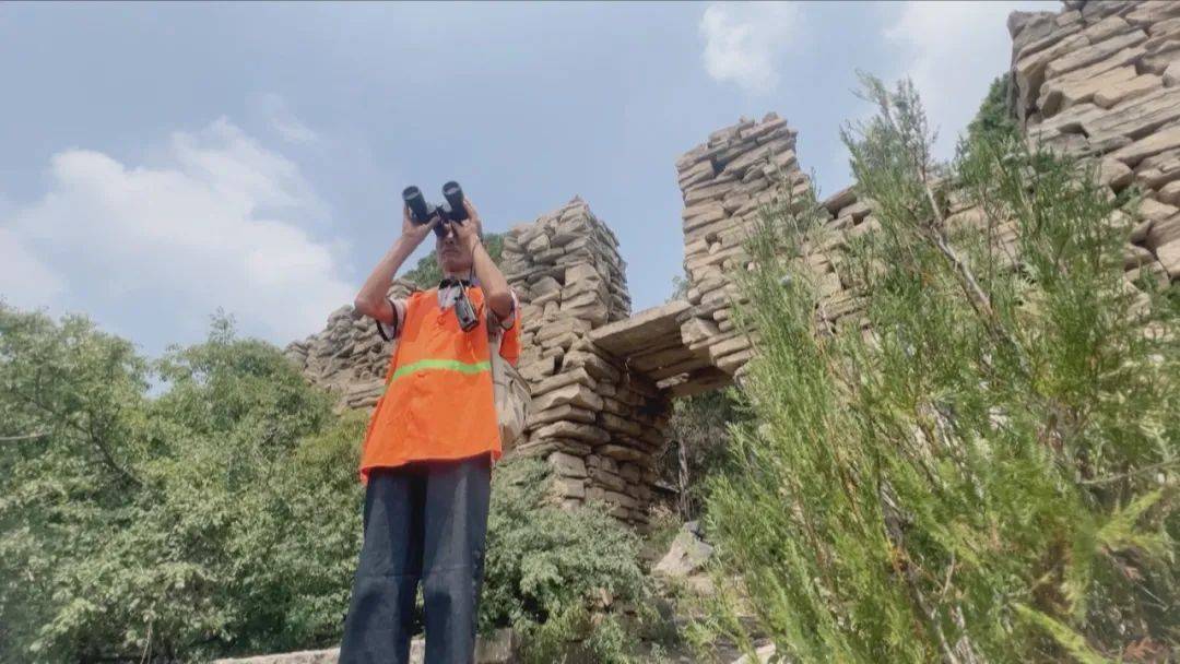 德耀泉城张传林20年坚守一万三千亩山林他被称为大峰山林场的守护神