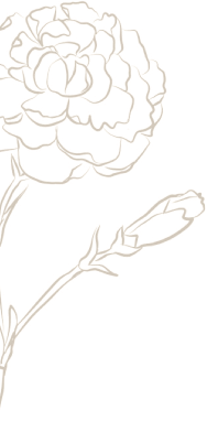 4个科学理论帮你理解桃花的魅力