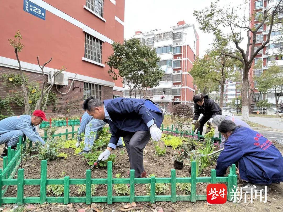 安置小区绿化带建“一米花园”�，苏州工业园区苏相合作区开辟“共建共治共享”新空间