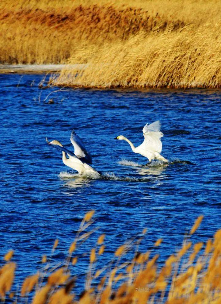 攻略 | 奔赴热爱,来磴口旅行的n个理由
