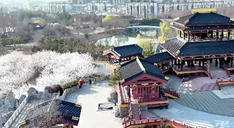 邳州plog还挺好看