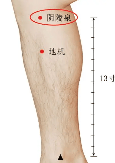4,太溪:滋生肾水,全身最补穴位,不孕,肾虚,月经量少必灸!