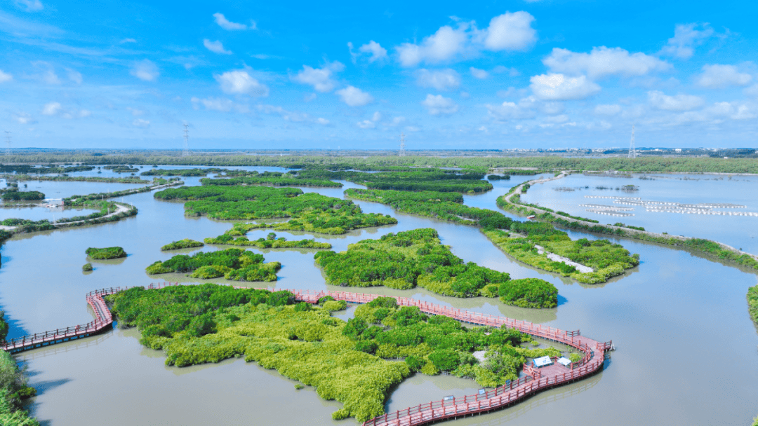 湛江岛屿旅游景点大全图片