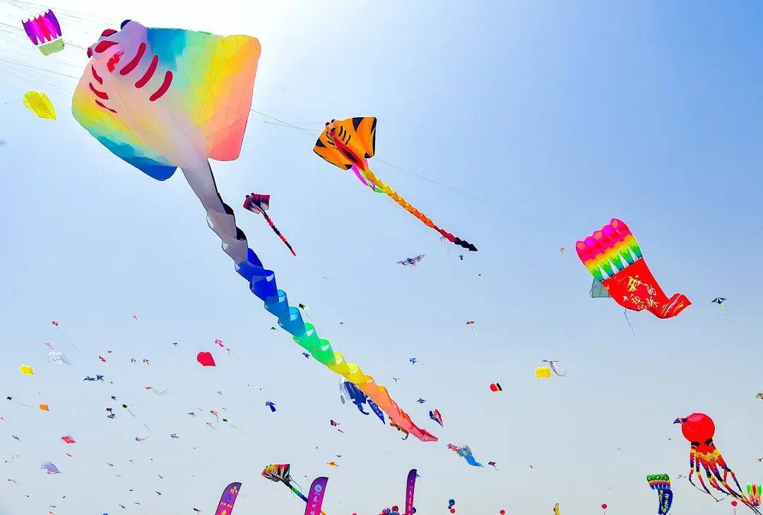 必打卡,2024潍坊风筝大赛与您相约滨海国际风筝放飞场