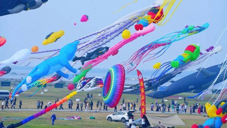 低价票来了,潍坊机场邀您共赴风筝之约_世界_国际_航班