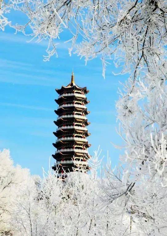 【喜讯】康辉集团黑龙江国际旅行社鹤岗分公司正式成立_旅游_发展