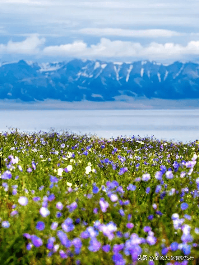6月伊犁美景藏不住了